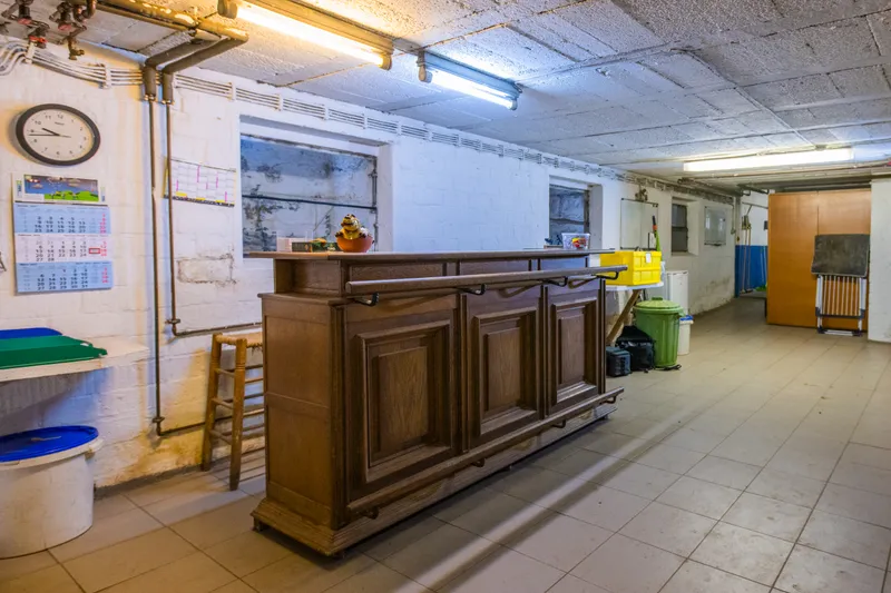 Hund rennt auf Kamera zu