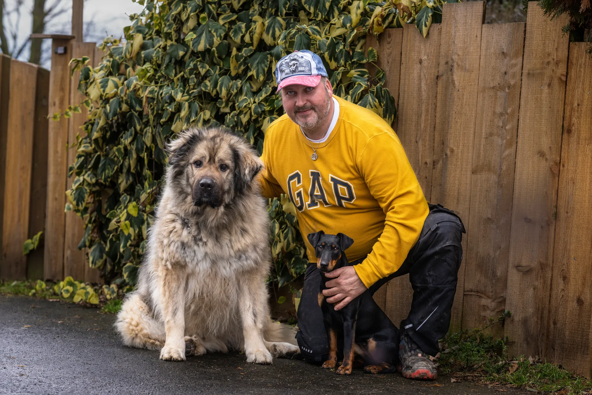 Glücklicher Hund im Feld