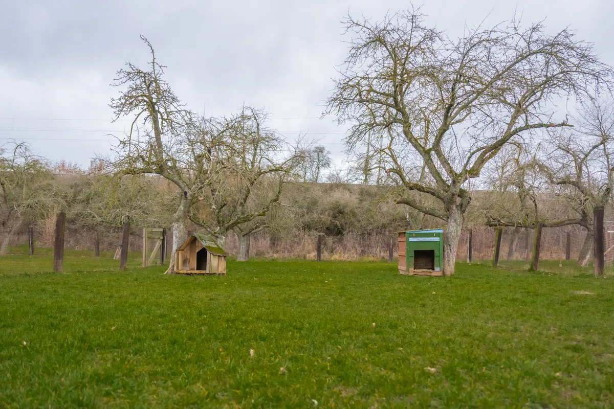 Hundehütten im Auslauf